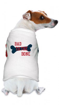 Customized Dog Accessories
